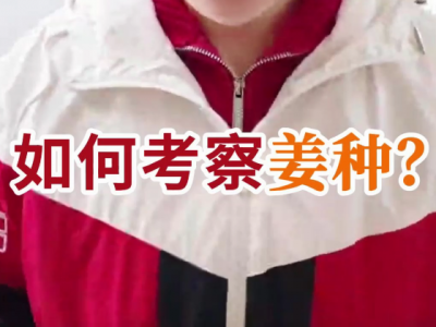 如何考察姜种？ ()