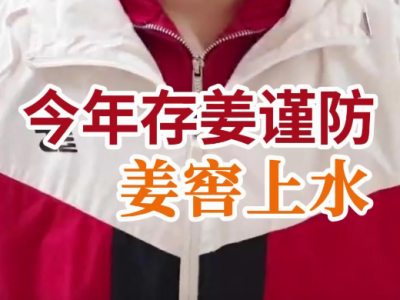 今年存姜谨防姜窖上水 ()