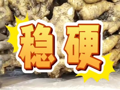 10月30日 安丘黑埠子（稳硬） ()