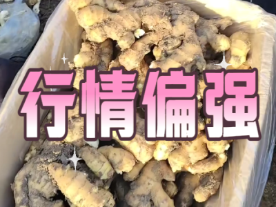 11月6日 安丘黑埠子（行情偏强） ()