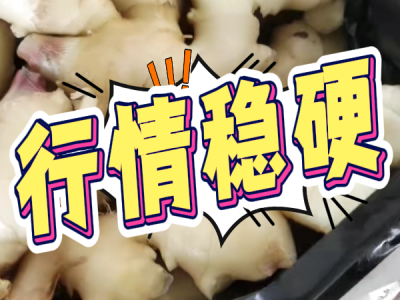 11月7日 生姜价格行情（行情稳硬） ()