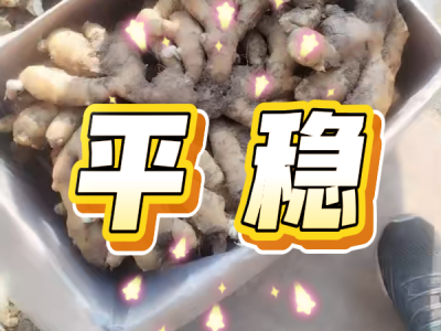 11月10日 安丘黑埠子（平稳） ()