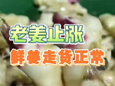 11月10日 生姜价格行情（老姜止涨，鲜姜走货正常） ()