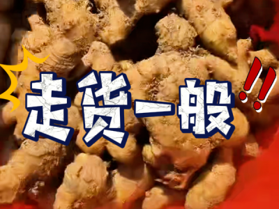 11月13日 安丘黑埠子（走货一般） ()