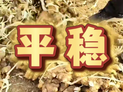 11月17日 安丘黑埠子（平稳） ()