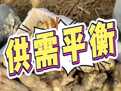 11月19日 安丘黑埠子（供需平衡） ()