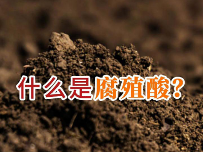 什么是腐殖酸？ ()