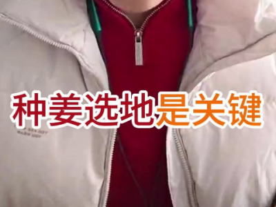 种姜选地是关键 ()