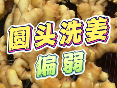 11月22日 生姜价格行情（圆头洗姜偏弱） ()