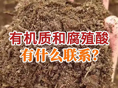 有机质和腐殖酸有什么联系？ ()