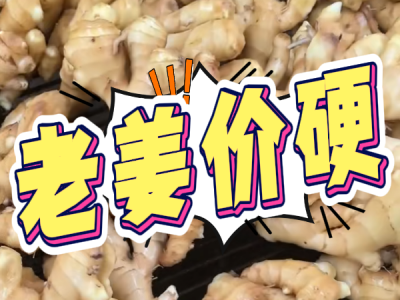 11月27日 生姜价格行情（老姜价硬） ()