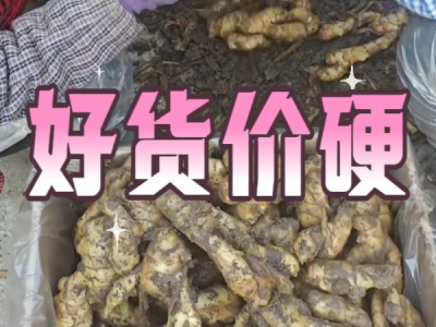 11月29日 安丘黑埠子（好货价硬） ()