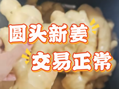 11月29日 生姜价格行情（圆头新姜交易正常） ()