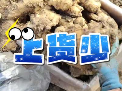 12月1日 安丘黑埠子（上货少） ()