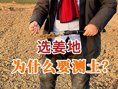 选姜地为什么要测土？ ()