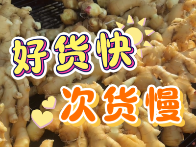 12月2日 生姜价格行情（好货快，次货慢） ()