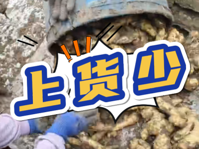 12月3日 安丘黑埠子（上货少） ()