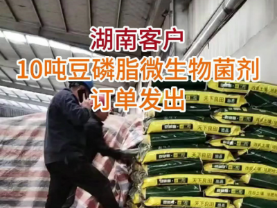 湖南客户10吨豆磷脂微生物菌发货中... ()
