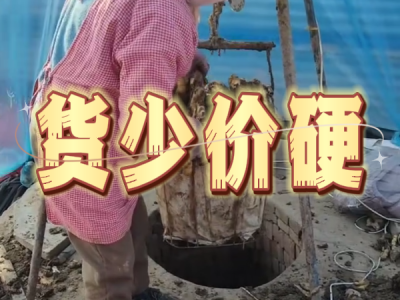 12月4日 安丘黑埠子（货少价硬）