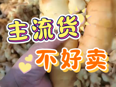 12月5日 生姜价格行情（主流货不好卖）