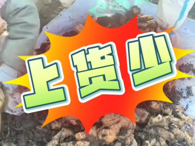 12月10日 安丘黑埠子（上货少） ()