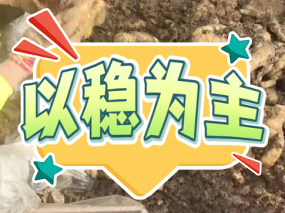 12月11日 安丘黑埠子（以稳为主） ()