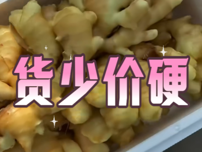 12月12日 生姜价格行情（货少价硬） ()