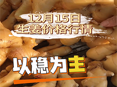 12月15日昌邑生姜价格行情：以稳为主
