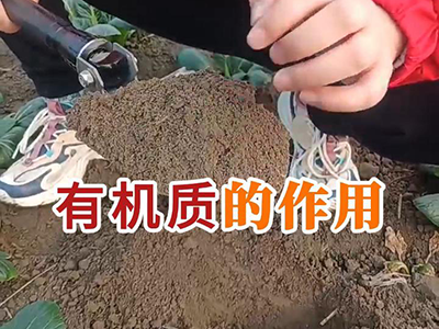有机质的作用