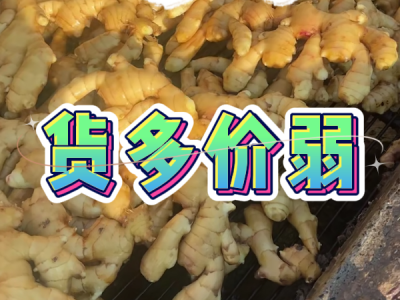 12月18日 生姜价格行情（货多价弱）