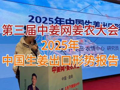 25年生姜出口报告 ()