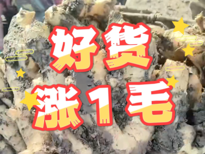 12月19日 安丘黑埠子（好货涨1毛） ()