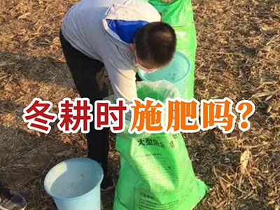 冬耕时施肥吗？ ()