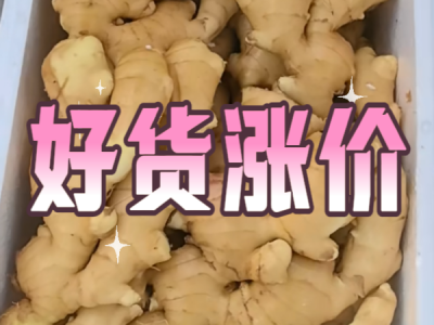 12月20日 生姜价格行情（好货涨价） ()