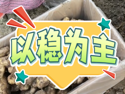 12月20日 安丘黑埠子（以稳为主） ()