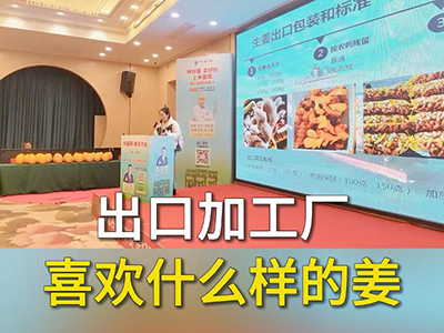 出口加工厂喜欢什么样的姜？ ()