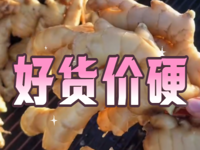 12月24日 生姜价格行情（好货价硬） ()
