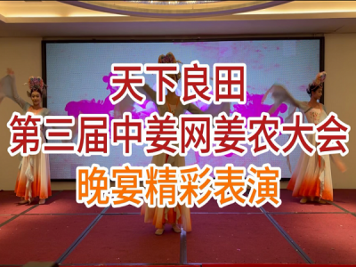 天下良田·第三届中姜网姜农大会--盛宴晚会 ()