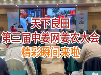 天下良田·第三届中姜网姜农大会--精彩瞬间 ()
