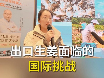 出口生姜面临的国际挑战 ()