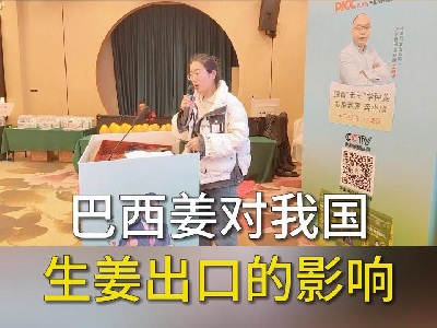 巴西姜对我国生姜出口的影响 ()