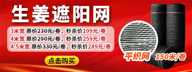 生姜遮阳网