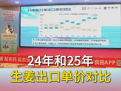 24年和25年生姜出口单价对比 ()