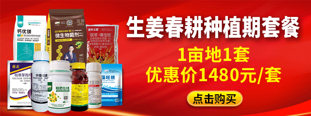 生姜春耕种植期套餐640-240