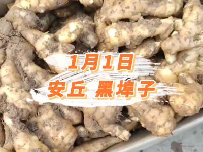 1月1日 安丘黑埠子价格行情 ()
