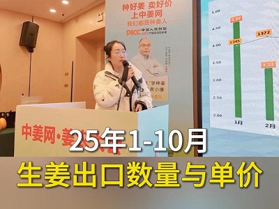 25年1-10月出口数量与单价 ()