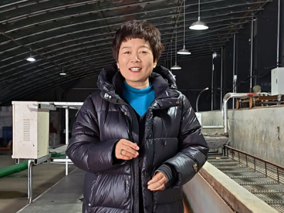 天下良田祝旺达姜业蒸蒸日上 ()