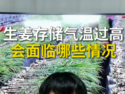 生姜存储气温过高会面临哪些情况 ()