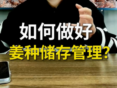 如何做好种姜储存管理？ ()