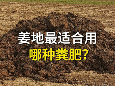 姜地最适合用哪种粪肥？ ()